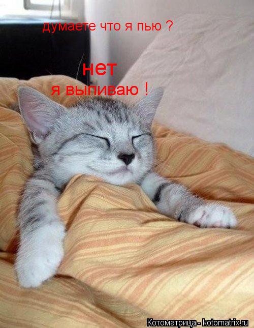 думаете что я пью ? нет я выпиваю !... Котоматрица: думаете что я пью ? нет я выпиваю !