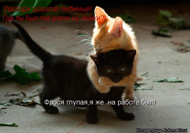 Господи дорогой любимый! Где ты был так долго ну скажи?! Фрося глупая,я же на работе был!... Котоматрица: Господи дорогой любимый! Где ты был так долго ну скажи?! Фрося глупая,я же на работе был!