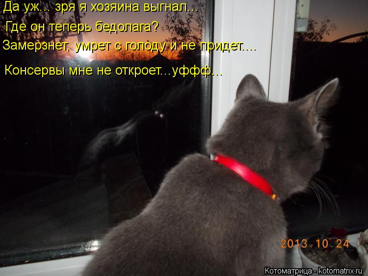 Да уж... зря я хозяина выгнал... Где он теперь бедолага? Замерзнет, умрет с голоду и не придет.... К... Котоматрица: Да уж... зря я хозяина выгнал... Где он теперь бедолага? Замерзнет, умрет с голоду и не придет.... Консервы мне не откроет...уффф...