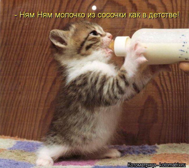 - Ням Ням молочко из сосочки как в детстве!... Котоматрица: - Ням Ням молочко из сосочки как в детстве!
