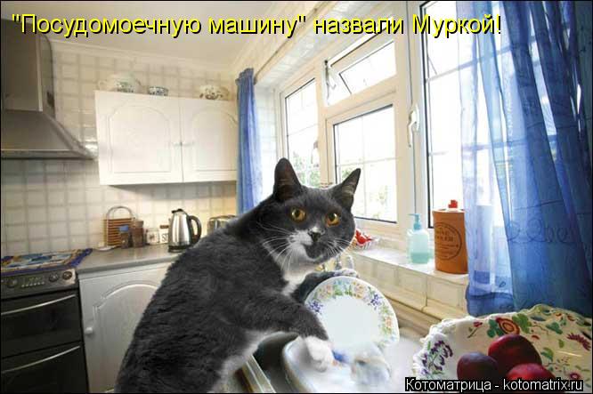 "Посудомоечную машину" назвали Муркой!... Котоматрица: "Посудомоечную машину" назвали Муркой!