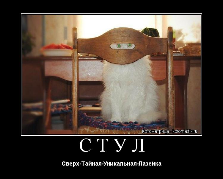 СТУЛ Сверх-Тайная-Уникальная-Лазейка... Котоматрица: СТУЛ Сверх-Тайная-Уникальная-Лазейка