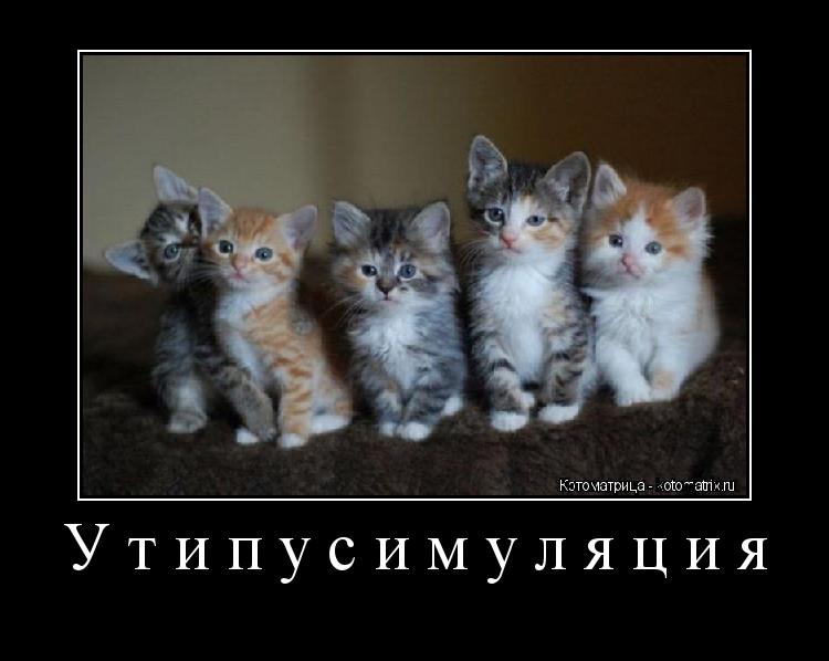 Утипусимуляция ... Котоматрица: Утипусимуляция