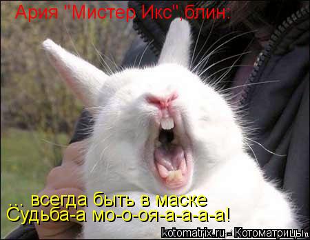 ... всегда быть в маске Судьба-а мо-о-оя-а-а-а-а! Ария "Мистер Икс",блин:... Котоматрица: ... всегда быть в маске Судьба-а мо-о-оя-а-а-а-а! Ария "Мистер Икс",блин: