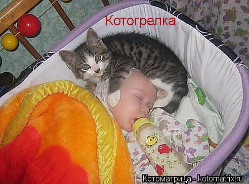 Котогрелка... Котоматрица: Котогрелка