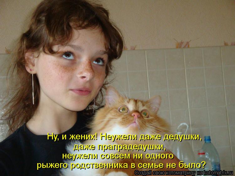 даже прапрадедушки, неужели совсем ни одного рыжего родственника в семье не было? Ну, и жених! Неуж... Котоматрица: даже прапрадедушки, неужели совсем ни одного рыжего родственника в семье не было? Ну, и жених! Неужели даже дедушки,