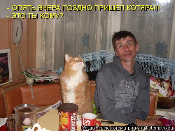 - ЭТО ТЫ КОМУ? - ОПЯТЬ ВЧЕРА ПОЗДНО ПРИШЕЛ,КОТЯРА!!!... Котоматрица: - ЭТО ТЫ КОМУ? - ОПЯТЬ ВЧЕРА ПОЗДНО ПРИШЕЛ,КОТЯРА!!!