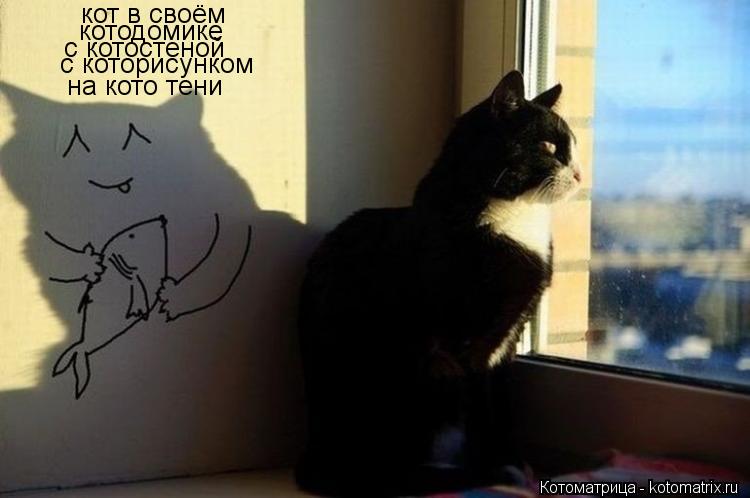 кот в своём котодомике с которисунком на кото тени с котостеной... Котоматрица: кот в своём котодомике с которисунком на кото тени с котостеной