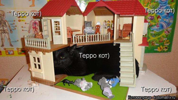 Терро кот) Терро кот) Терро кот) Терро кот) Терро кот)... Котоматрица: Терро кот) Терро кот) Терро кот) Терро кот) Терро кот)