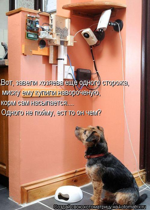 Вот, завели хозяева еще одного сторожа, миску ему купили навороченую, корм сам насыпается.... Одного ... Котоматрица: Вот, завели хозяева еще одного сторожа, миску ему купили навороченую, корм сам насыпается.... Одного не пойму, ест то он чем?