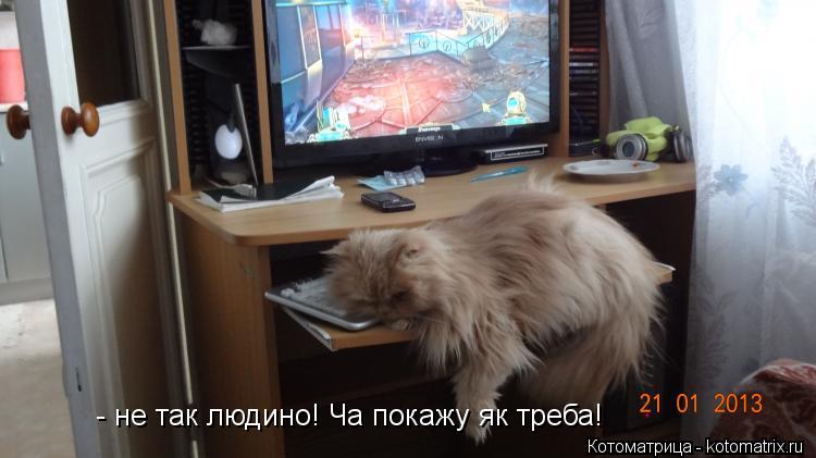 - не так людино! Ча покажу як треба!... Котоматрица: - не так людино! Ча покажу як треба!