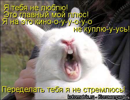 Я тебя не люблю! Это главный мой плюс! Я на это кино-о-у-у-о-у-о не куплю-у-усь! Переделать тебя я н... Котоматрица: Я тебя не люблю! Это главный мой плюс! Я на это кино-о-у-у-о-у-о не куплю-у-усь! Переделать тебя я не стремлюсь!