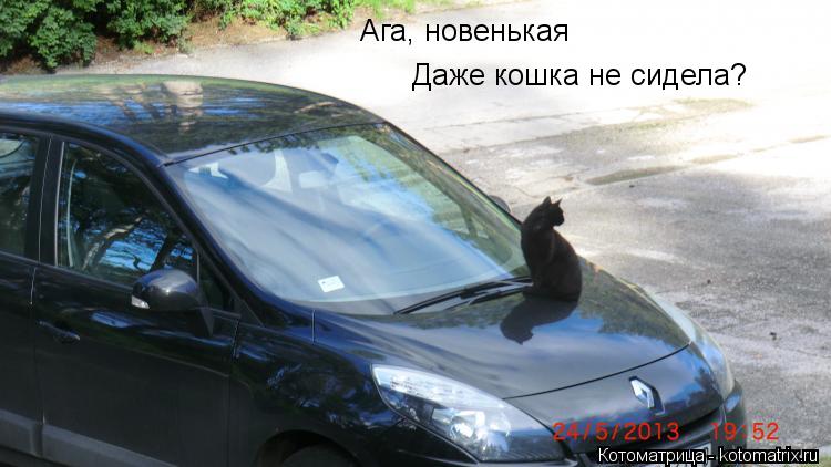 Ага, новенькая Даже кошка не сидела?... Котоматрица: Ага, новенькая Даже кошка не сидела?
