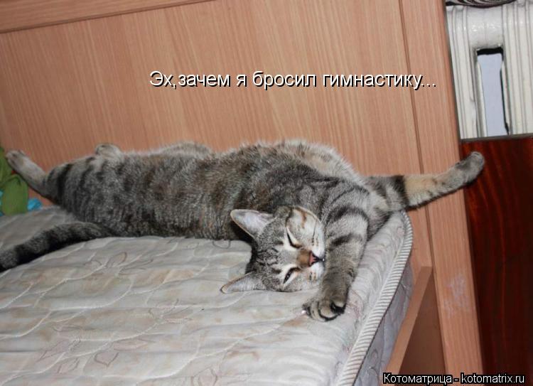 Эх,зачем я бросил гимнастику...... Котоматрица: Эх,зачем я бросил гимнастику...