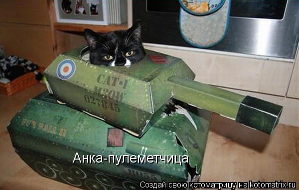 Анка-пулеметчица... Котоматрица: Анка-пулеметчица