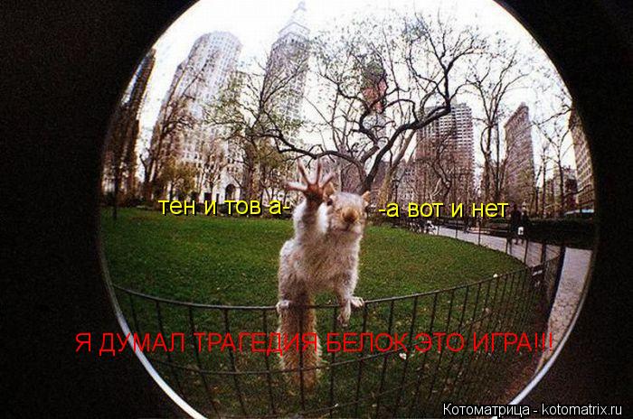 Я ДУМАЛ ТРАГЕДИЯ БЕЛОК ЭТО ИГРА!!! -а вот и нет тен и тов а-... Котоматрица: Я ДУМАЛ ТРАГЕДИЯ БЕЛОК ЭТО ИГРА!!! -а вот и нет тен и тов а-