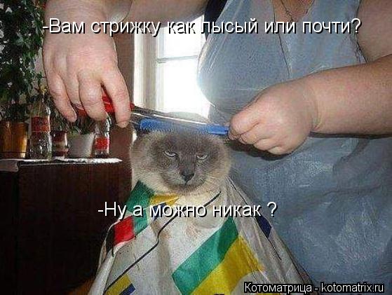 -Вам стрижку как лысый или почти? -Ну а можно никак ?... Котоматрица: -Вам стрижку как лысый или почти? -Ну а можно никак ?
