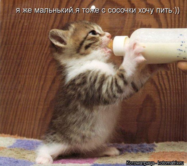 я же мальнький,я тоже с сосочки хочу пить:))... Котоматрица: я же мальнький,я тоже с сосочки хочу пить:))
