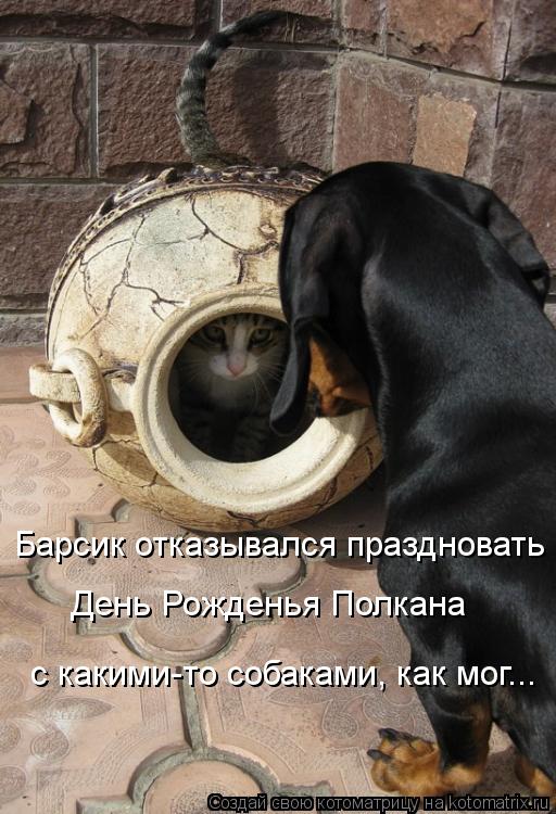 День Рожденья Полкана Барсик отказывался праздновать с какими-то собаками, как мог...... Котоматрица: День Рожденья Полкана Барсик отказывался праздновать с какими-то собаками, как мог...
