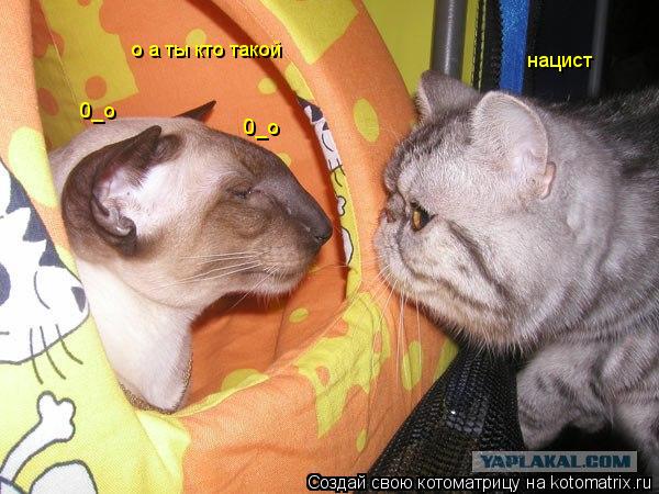 нацист 0_о 0_о о а ты кто такой... Котоматрица: нацист 0_о 0_о о а ты кто такой