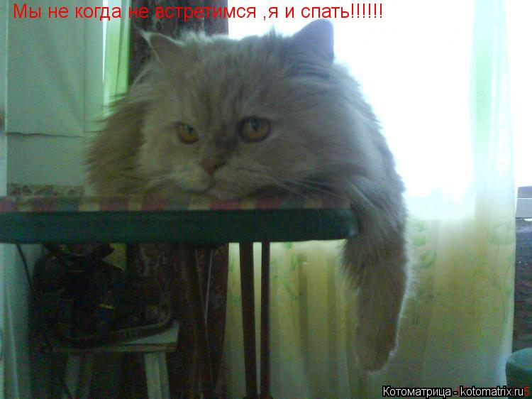 Мы не когда не встретимся ,я и спать!!!!!!... Котоматрица: Мы не когда не встретимся ,я и спать!!!!!!