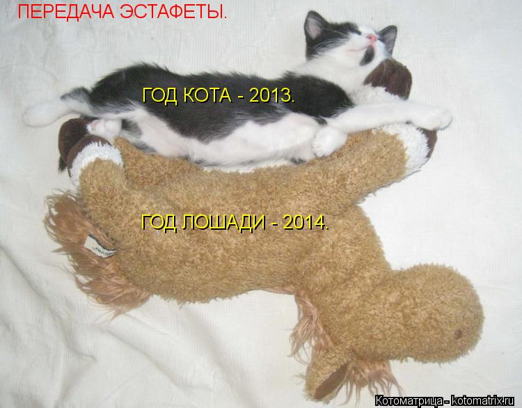 ПЕРЕДАЧА ЭСТАФЕТЫ. ГОД КОТА - 2013. ГОД ЛОШАДИ - 2014.... Котоматрица: ПЕРЕДАЧА ЭСТАФЕТЫ. ГОД КОТА - 2013. ГОД ЛОШАДИ - 2014.