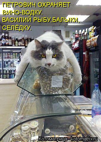 ПЕТРОВИЧ ОХРАНЯЕТ ВИНО-ВОДКУ. ВАСИЛИЙ РЫБУ,БАЛЫКИ, СЕЛЁДКУ.... Котоматрица: ПЕТРОВИЧ ОХРАНЯЕТ ВИНО-ВОДКУ. ВАСИЛИЙ РЫБУ,БАЛЫКИ, СЕЛЁДКУ.