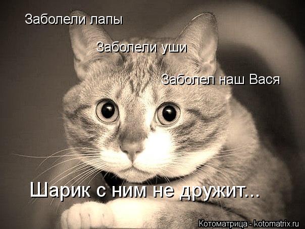 Заболели лапы Заболели уши Заболел наш Вася Шарик с ним не дружит...... Котоматрица: Заболели лапы Заболели уши Заболел наш Вася Шарик с ним не дружит...