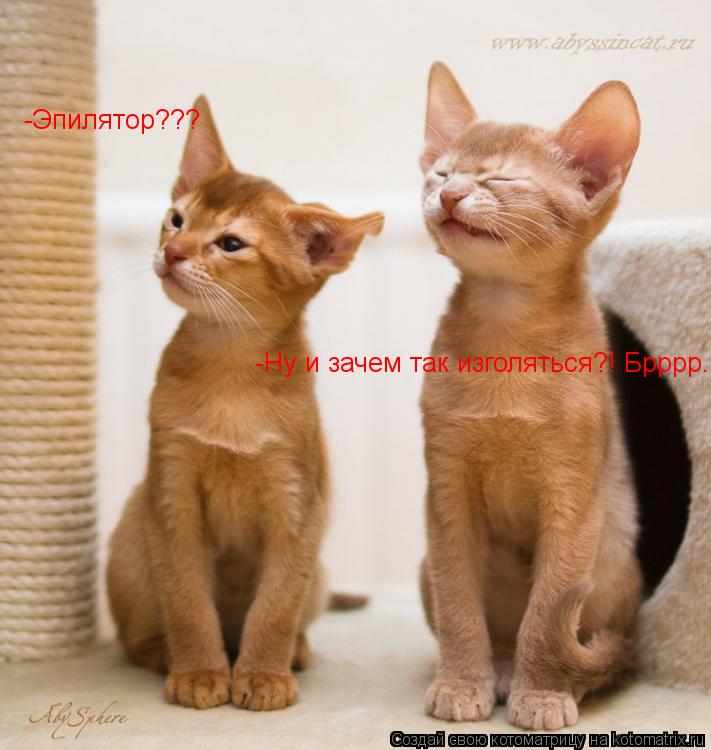 -Эпилятор??? -Ну и зачем так изголяться?! Брррр...... Котоматрица: -Эпилятор??? -Ну и зачем так изголяться?! Брррр...
