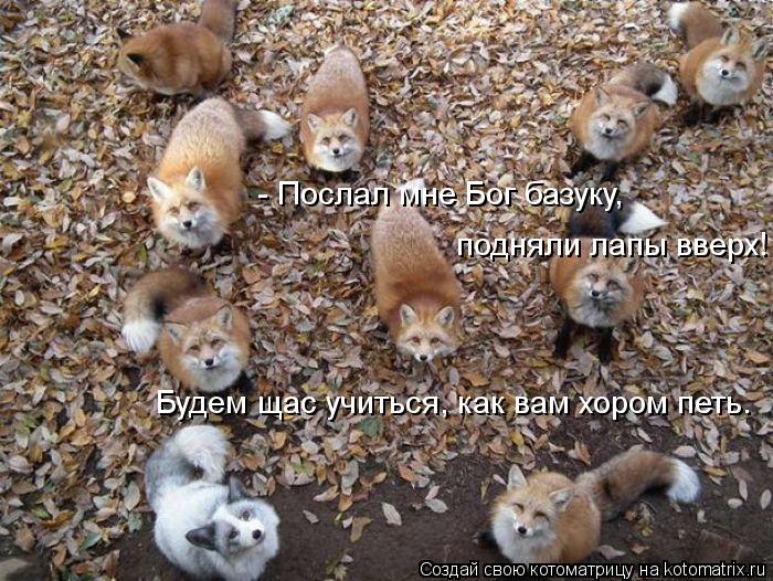 - Послал мне Бог базуку, подняли лапы вверх! Будем щас учиться, как вам хором петь.... Котоматрица: - Послал мне Бог базуку, подняли лапы вверх! Будем щас учиться, как вам хором петь.
