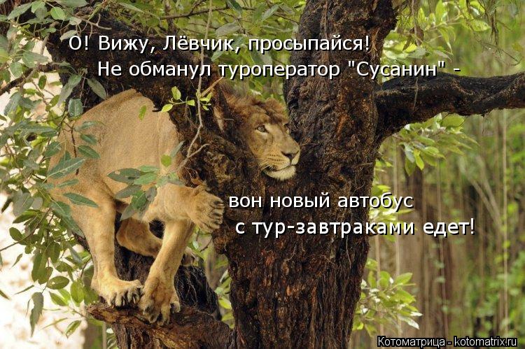 О! Вижу, Лёвчик, просыпайся! Не обманул туроператор "Сусанин" - вон новый автобус с тур-завтраками е... Котоматрица: О! Вижу, Лёвчик, просыпайся! Не обманул туроператор "Сусанин" - вон новый автобус с тур-завтраками едет!