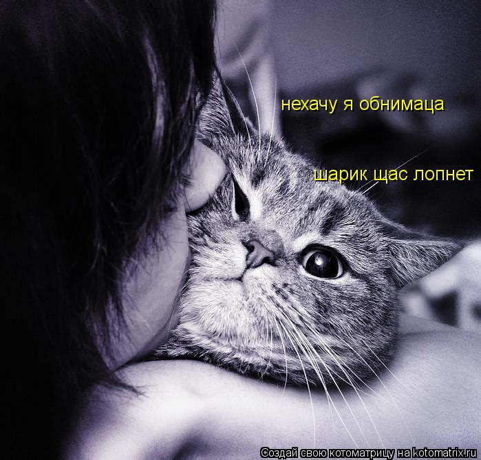 Котоматрица: шарик щас лопнет нехачу я обнимаца