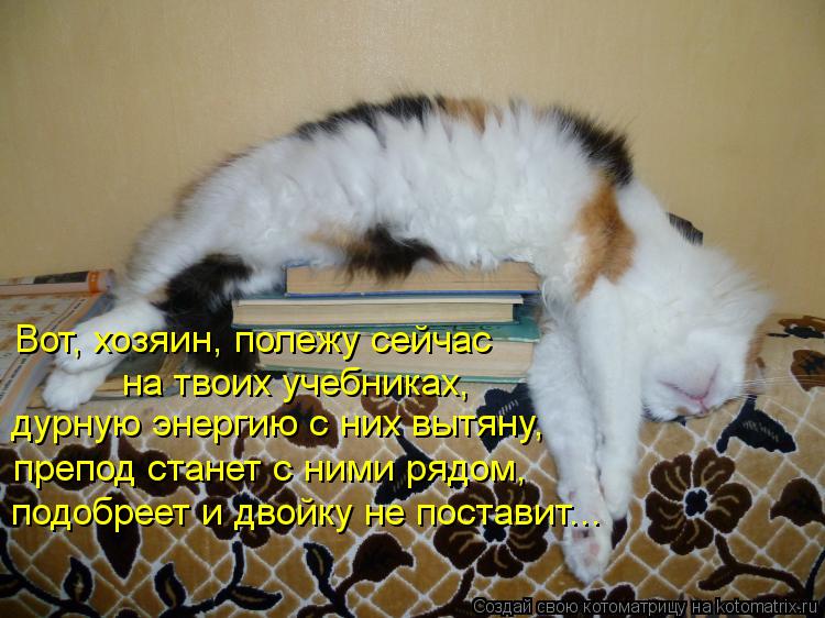 Вот, хозяин, полежу сейчас на твоих учебниках, дурную энергию с них вытяну, препод станет с ними рядо... Котоматрица: Вот, хозяин, полежу сейчас на твоих учебниках, дурную энергию с них вытяну, препод станет с ними рядом, подобреет и двойку не поставит...
