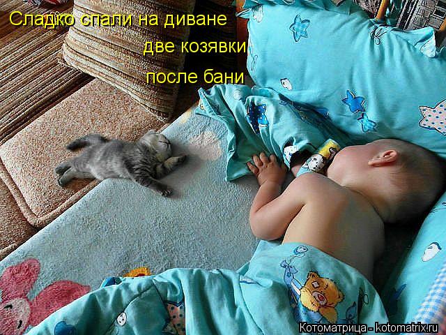 Сладко спали на диване две козявки после бани... Котоматрица: Сладко спали на диване две козявки после бани