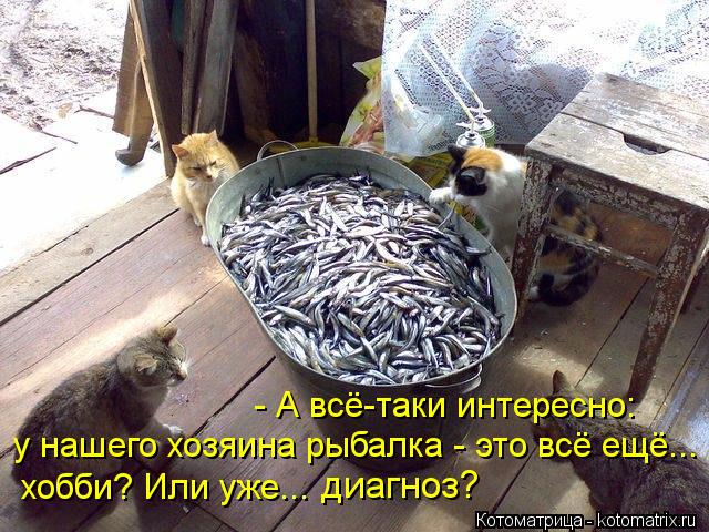 - А всё-таки интересно: у нашего хозяина рыбалка - это всё ещё... хобби? Или уже... диагноз?... Котоматрица: - А всё-таки интересно: у нашего хозяина рыбалка - это всё ещё... хобби? Или уже... диагноз?