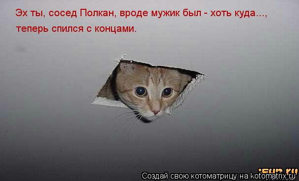 Котоматрица: Эх ты, сосед Полкан, вроде мужик был - хоть куда..., теперь спился с концами.