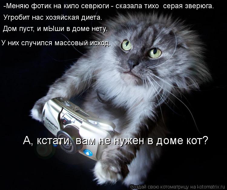 Котоматрица: -Меняю фотик на кило севрюги - сказала тихо  серая зверюга. Угробит нас хозяйская диета. Дом пуст, и мЫши в доме нету. У них случился массовый 