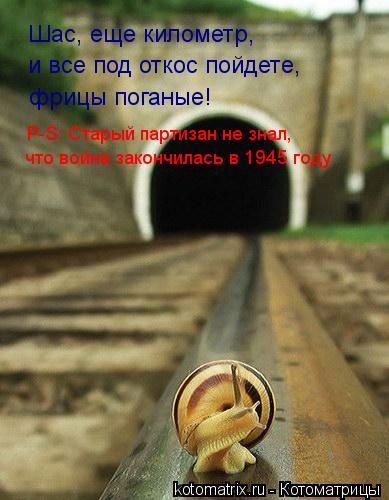 Шас, еще километр, и все под откос пойдете, что война закончилась в 1945 году P-S: Старый партизан не... Котоматрица: Шас, еще километр, и все под откос пойдете, что война закончилась в 1945 году P-S: Старый партизан не знал, фрицы поганые!
