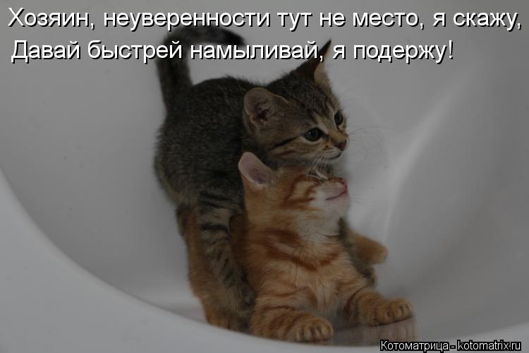 Котоматрица: Хозяин, неуверенности тут не место, я скажу, Давай быстрей намыливай, я подержу!