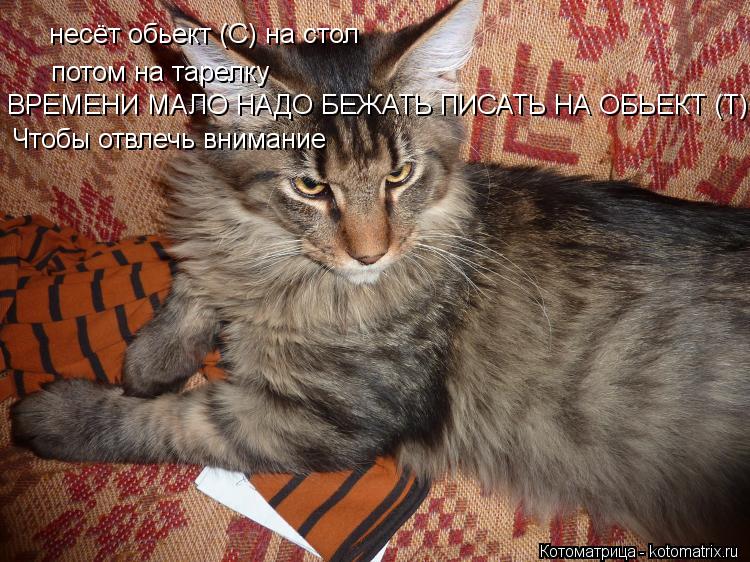 несёт обьект (С) на стол потом на тарелку ВРЕМЕНИ МАЛО НАДО БЕЖАТЬ ПИСАТЬ НА ОБЬЕКТ (Т) Чтобы отвле... Котоматрица: несёт обьект (С) на стол потом на тарелку ВРЕМЕНИ МАЛО НАДО БЕЖАТЬ ПИСАТЬ НА ОБЬЕКТ (Т) Чтобы отвлечь внимание