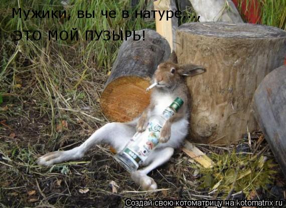 Котоматрица: Мужики, вы че в натуре..., ЭТО МОЙ ПУЗЫРЬ!