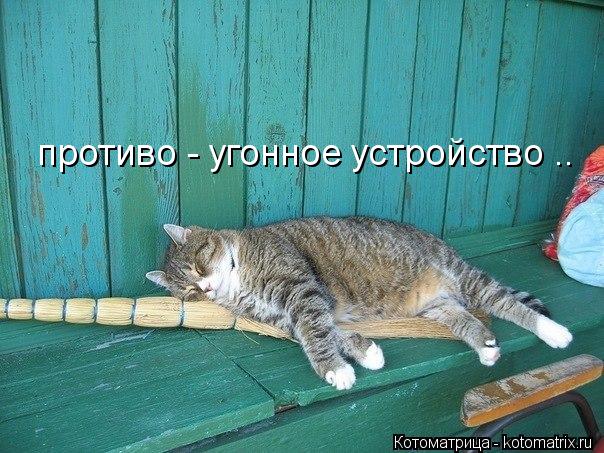 Котоматрица: противо - угонное устройство ..