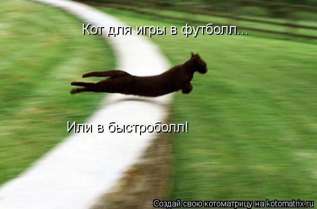Кот для игры в футболл... Или в быстроболл!... Котоматрица: Кот для игры в футболл... Или в быстроболл!