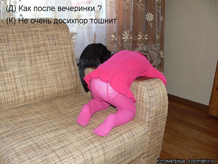 Котоматрица: (Д) Как после вечеринки ? (К) Не очень досихпор тошнит