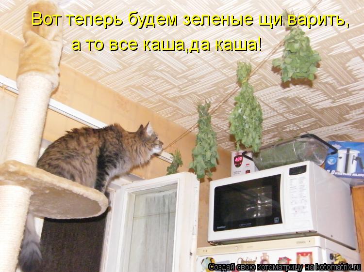 Вот теперь будем зеленые щи варить, а то все каша,да каша!... Котоматрица: Вот теперь будем зеленые щи варить, а то все каша,да каша!