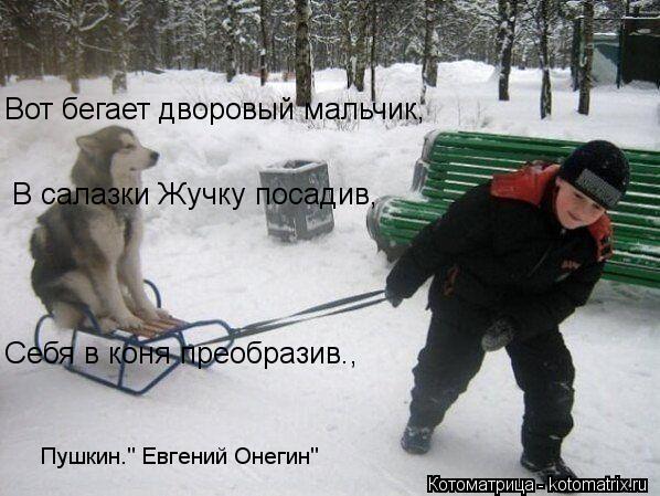 Котоматрица: Вот бегает дворовый мальчик,  В салазки Жучку посадив,  Себя в коня преобразив.,  Пушкин." Евгений Онегин"