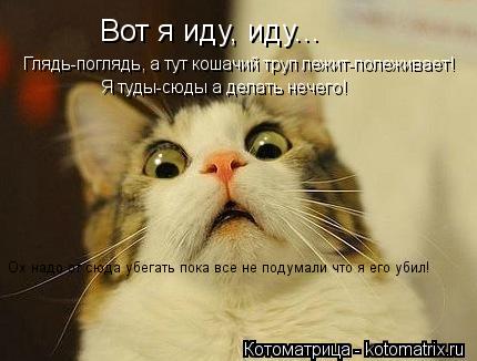 Вот я иду, иду... Глядь-поглядь, а тут кошачий труп лежит-полеживает! Я туды-сюды а делать нечего! Ох... Котоматрица: Вот я иду, иду... Глядь-поглядь, а тут кошачий труп лежит-полеживает! Я туды-сюды а делать нечего! Ох надо от сюда убегать пока все не подумали