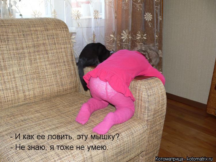 Котоматрица: - И как ее ловить, эту мышку? - И как ее ловить, эту мышку? - Не знаю, я тоже не умею.