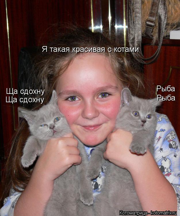 Рыба Рыба Ща сдохну Ща сдохну Я такая красивая с котами... Котоматрица: Рыба Рыба Ща сдохну Ща сдохну Я такая красивая с котами