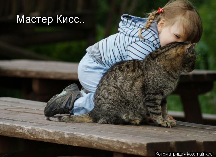 Котоматрица: Мастер Кисс..